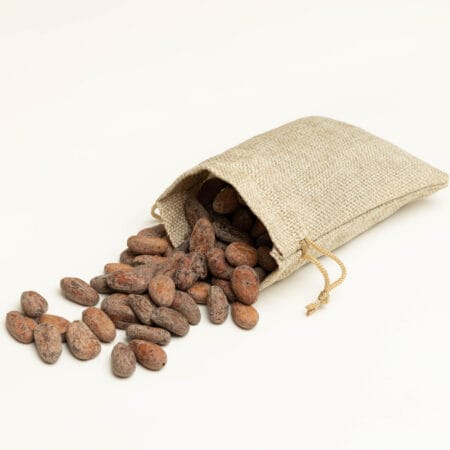 Fèves de cacao torréfiées
