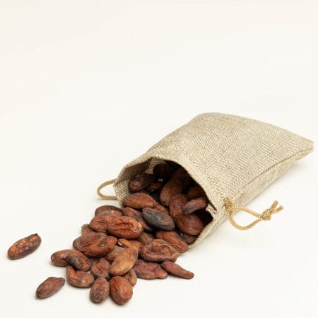 Fèves de cacao non torréfiées