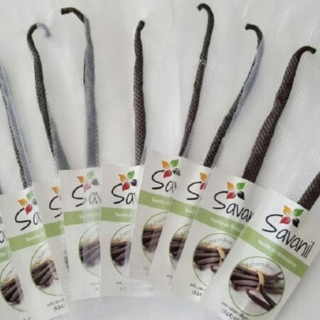 Gourmet bourbon vanilla beans from Madagascar